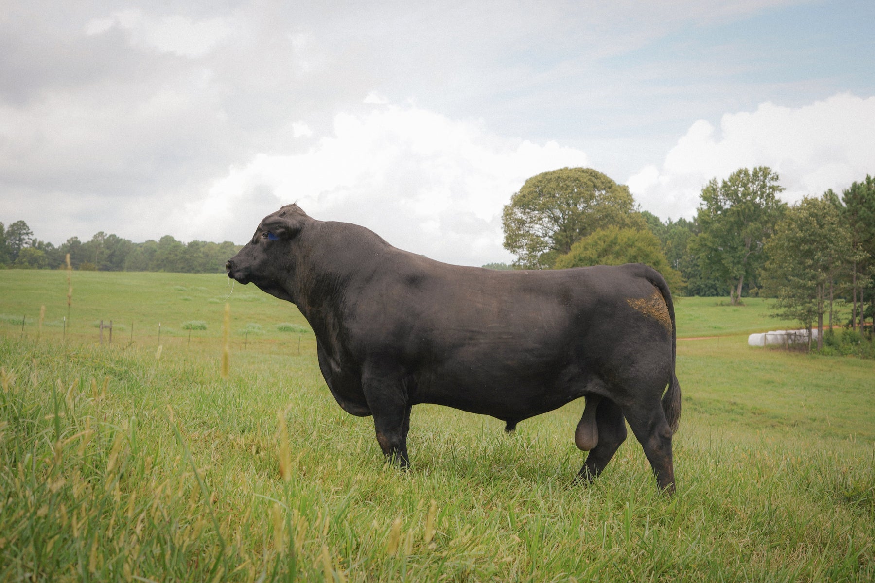 The End of an Era: Saying Goodbye to Rainmaker