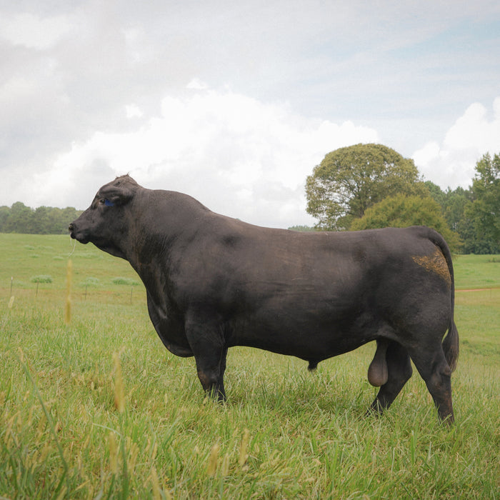 The End of an Era: Saying Goodbye to Rainmaker