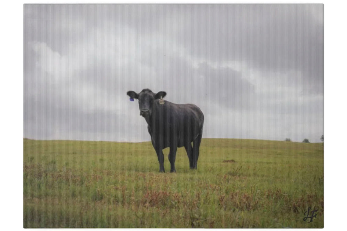 Lily Hill Farm Prints