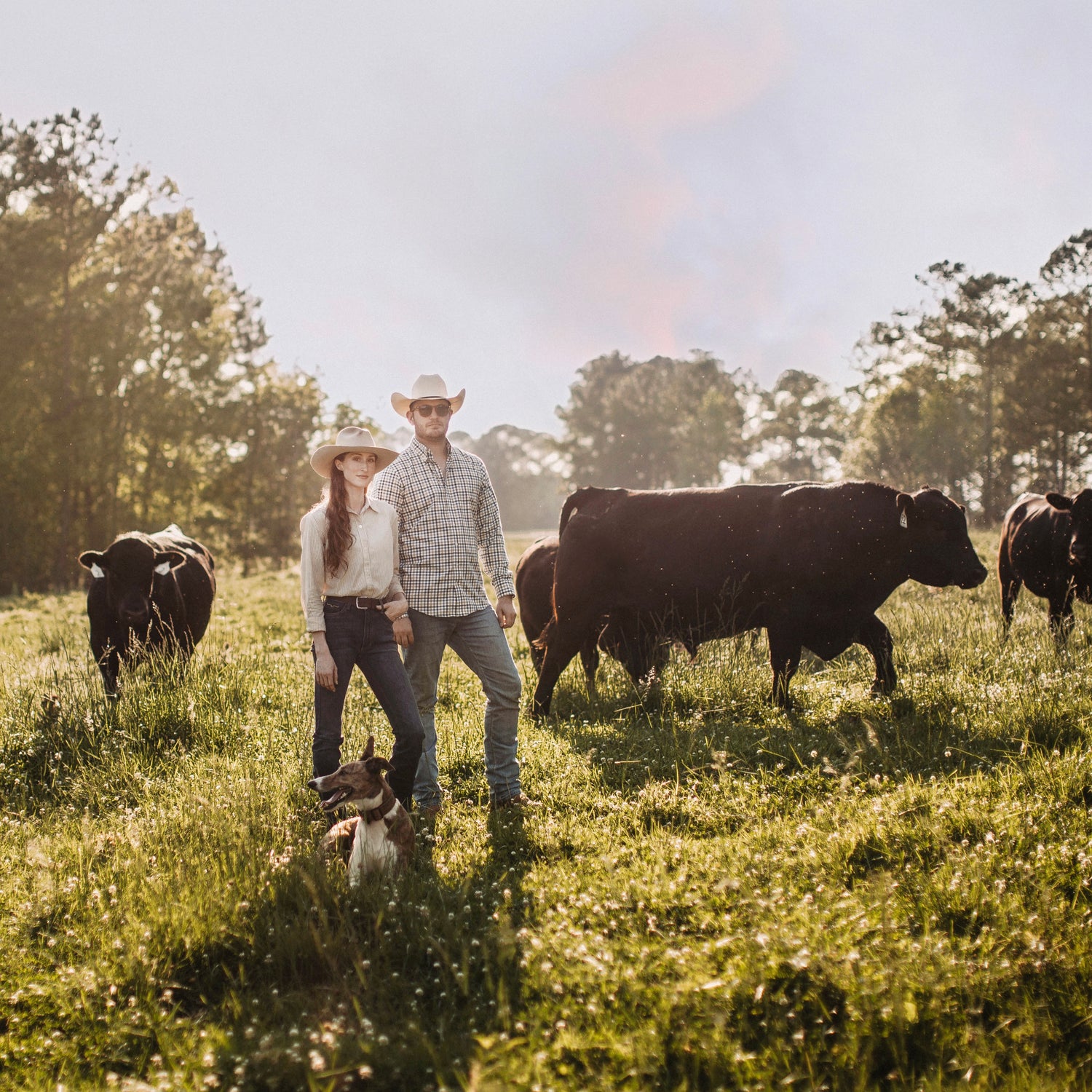 ABOUT OUR BEEF